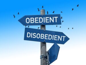Read more about the article “Obedience-Based Discipleship” by Zane Pratt